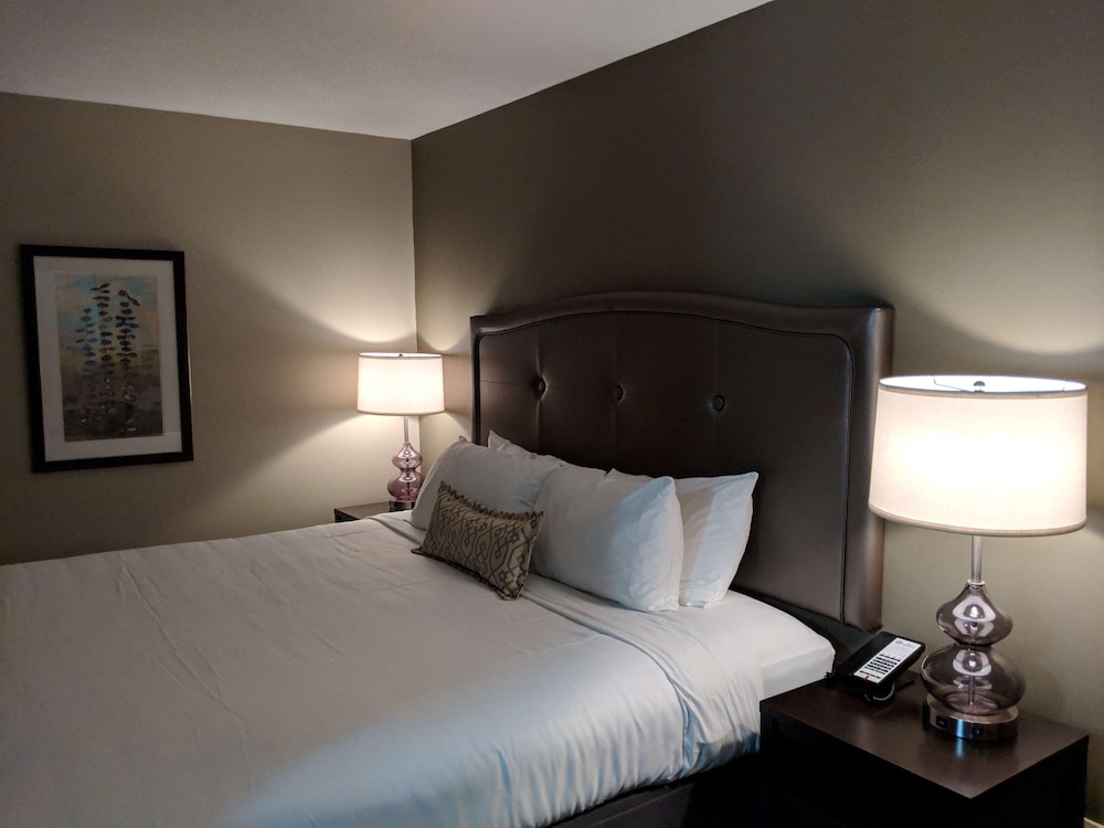Best Western Swan Castle Inn 6/41