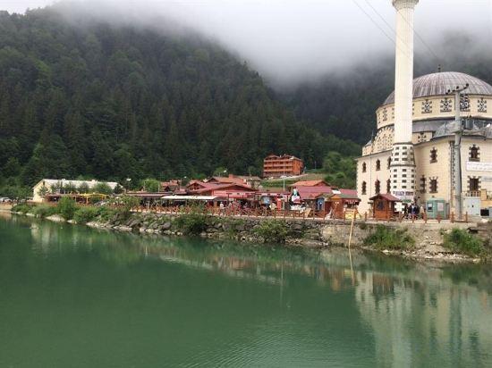 Grand Hotel Uzungol 14/14