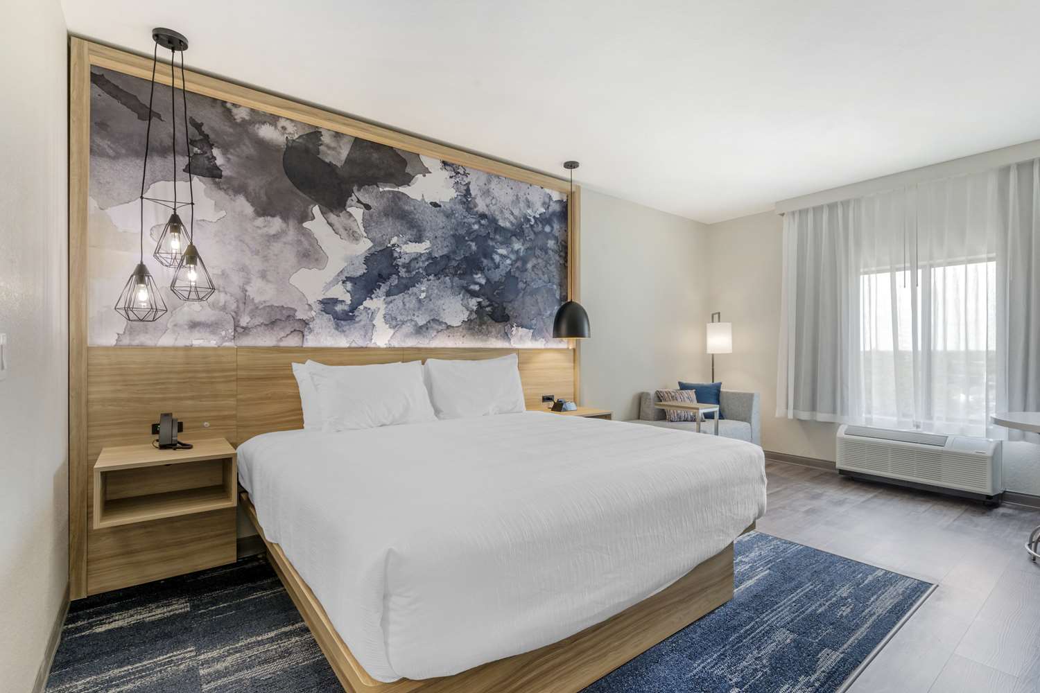 Room, King Bed