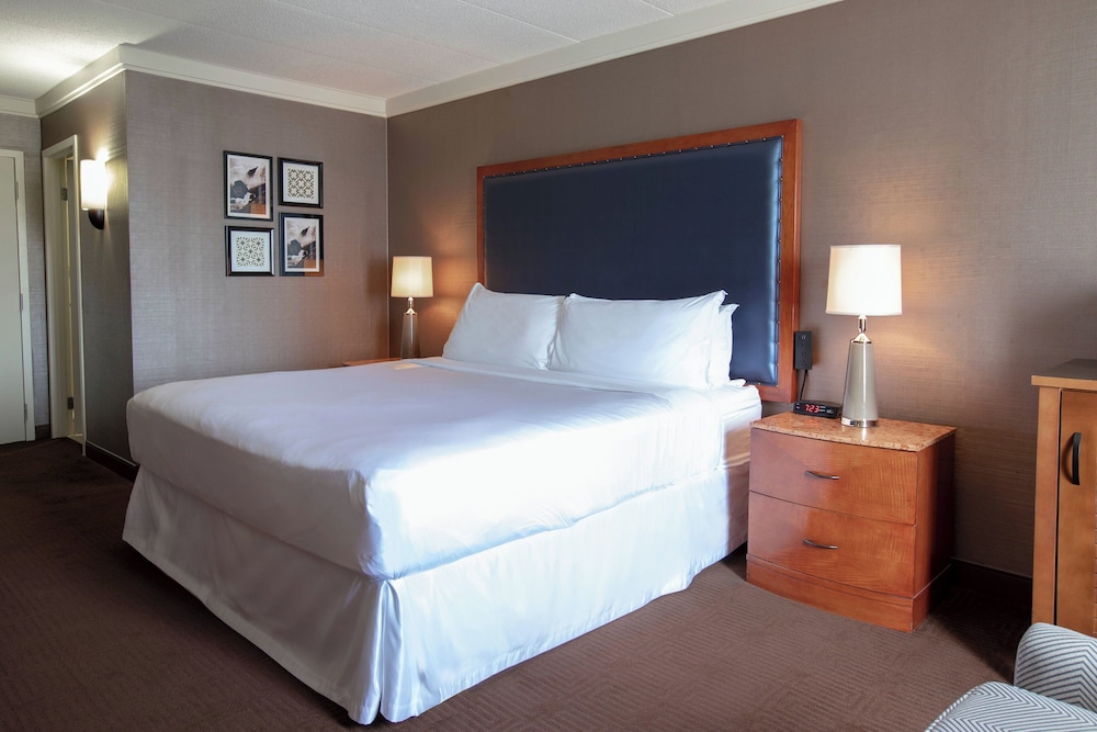 ROOM, KING BED, ACCESSIBLE
