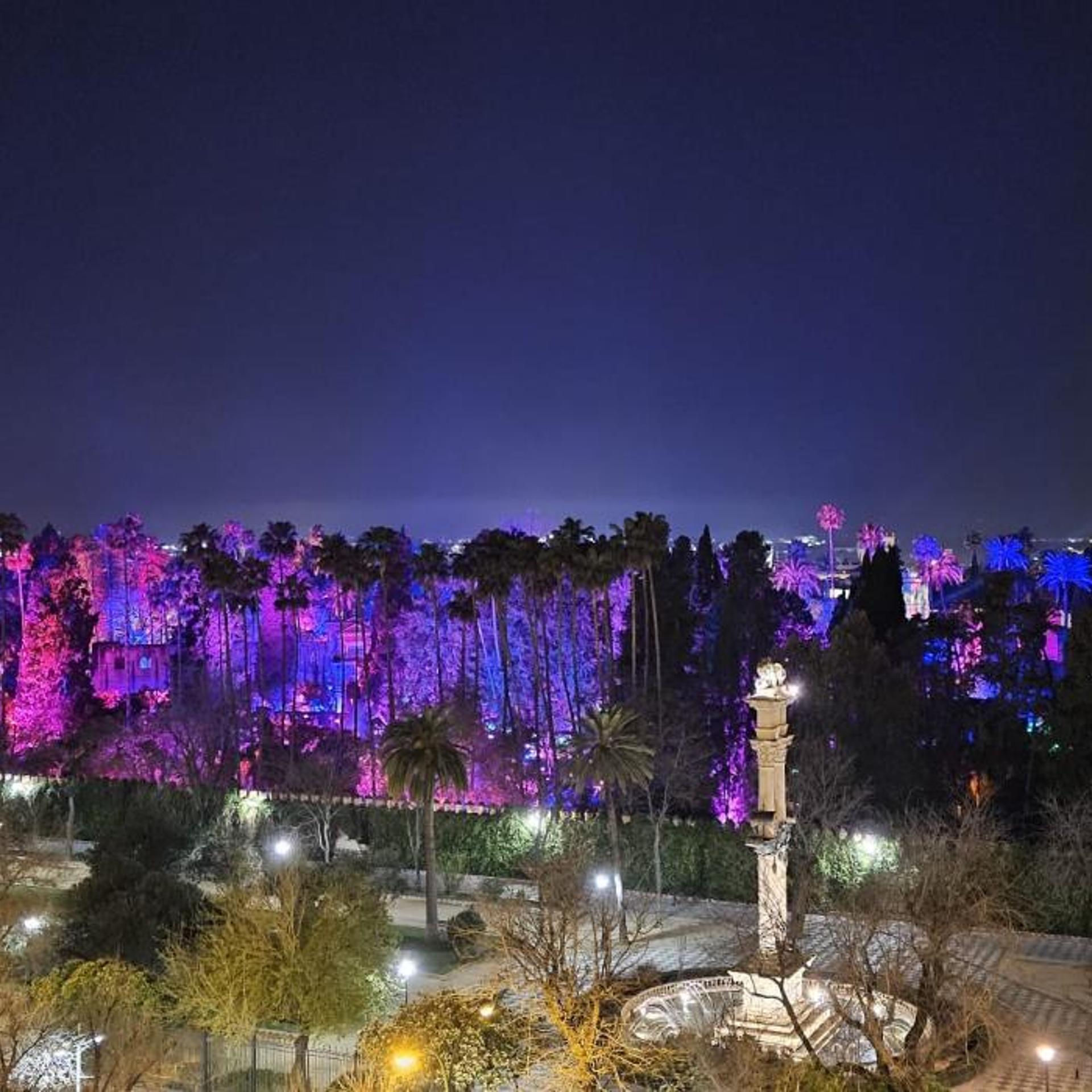Hotel Alcazar Seville 50/55