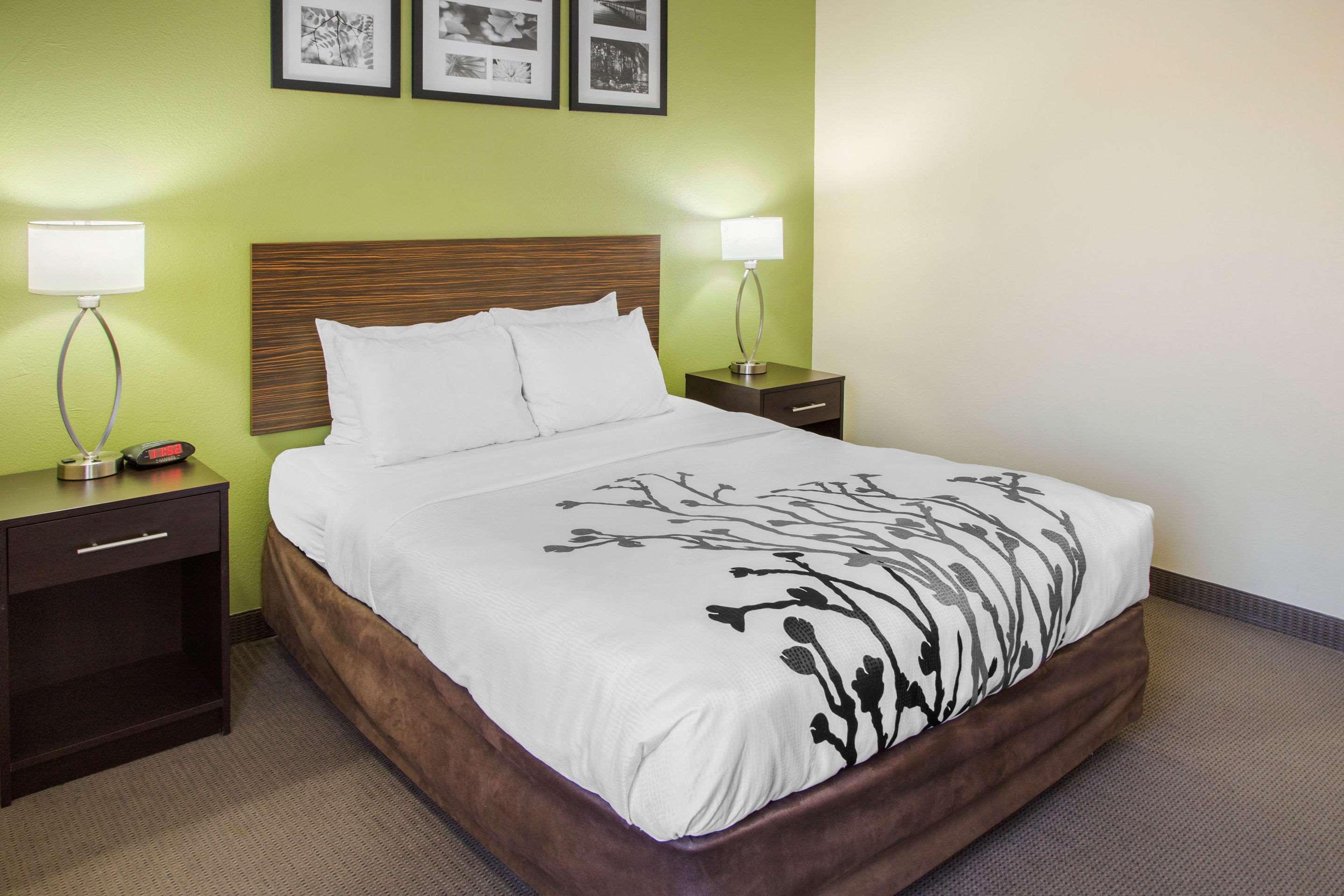 ROOM, QUEEN BED, ACCESSIBLE