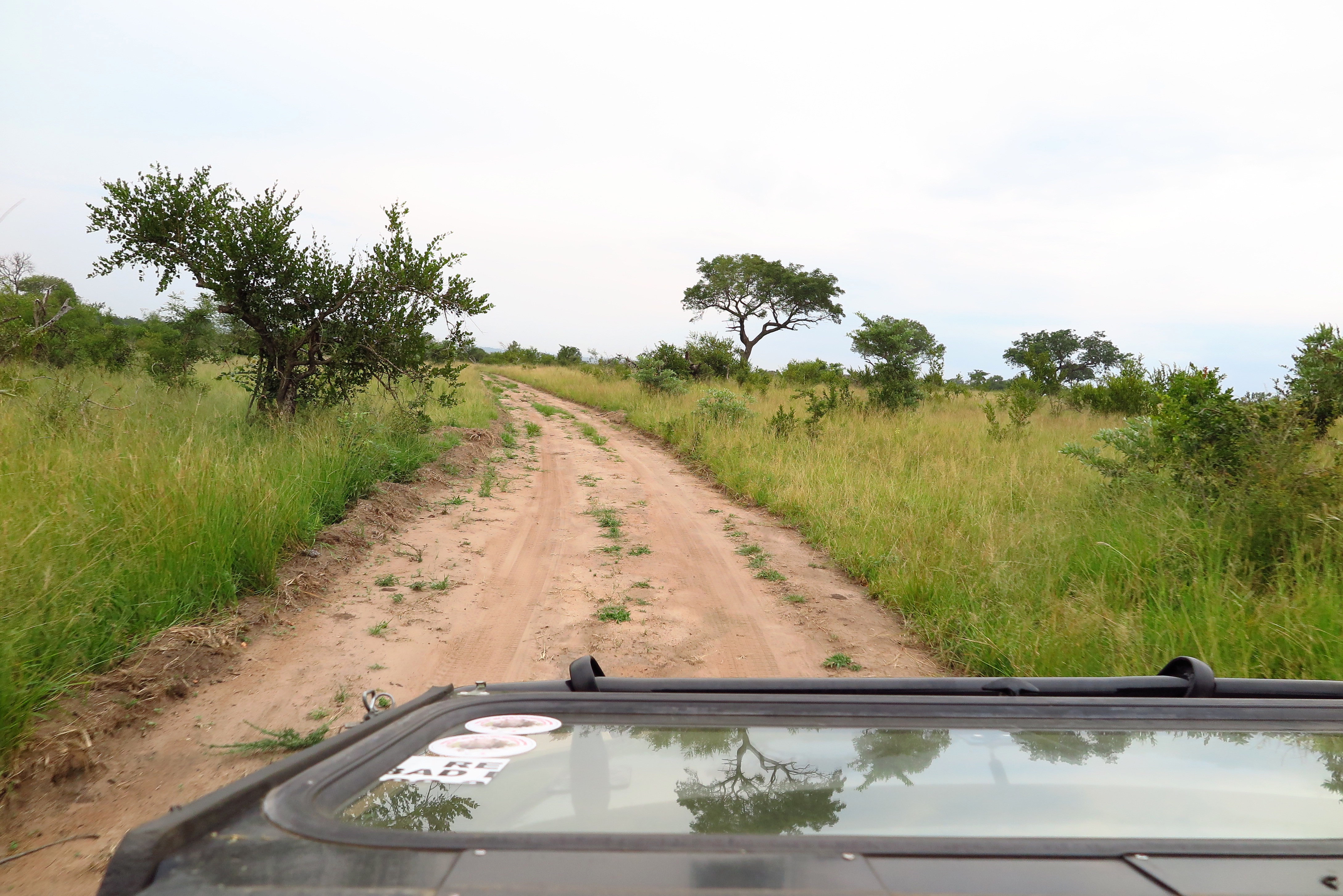 Pestana Kruger Lodge 31/46