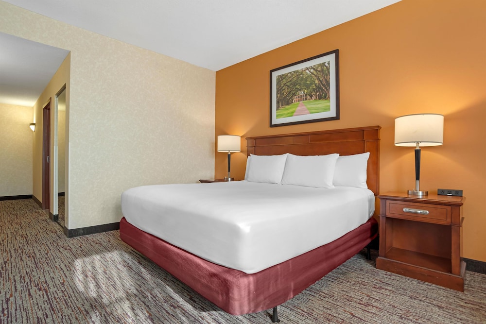 DRURY INN AND SUITES BATON ROUGE 14/50