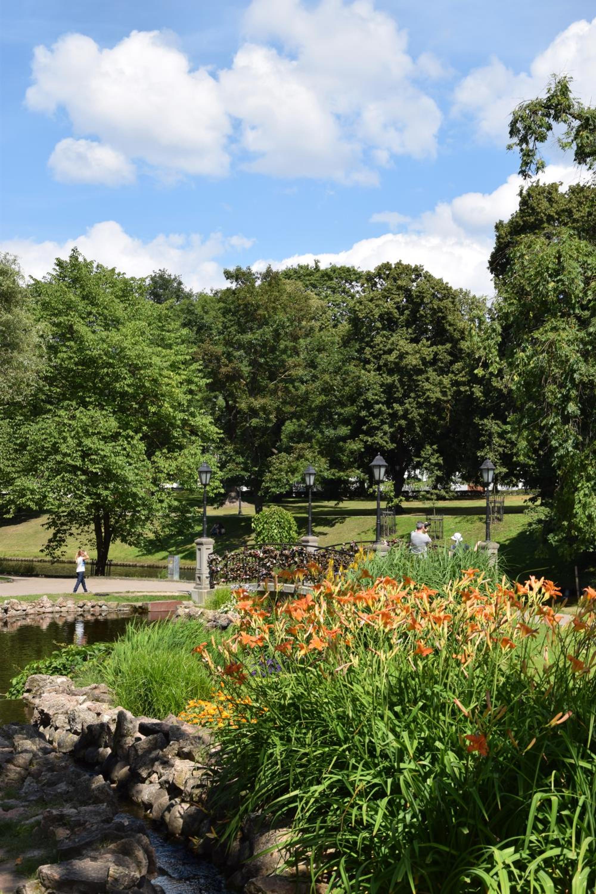Liberty 79/83