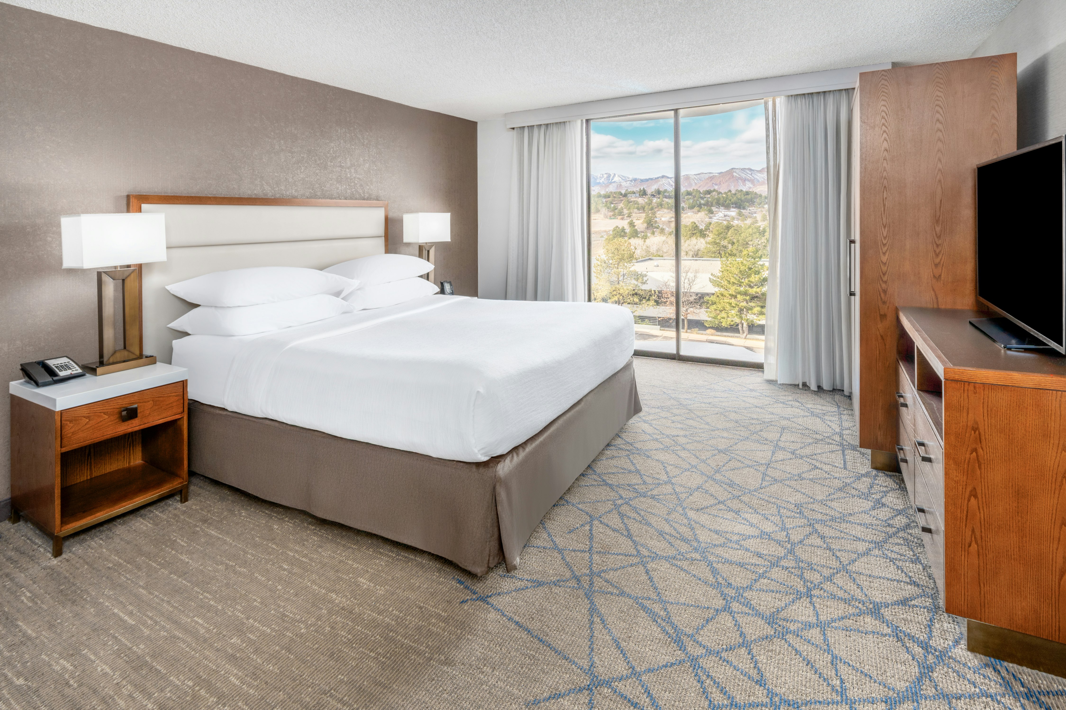 Room, King Bed, Mountain View