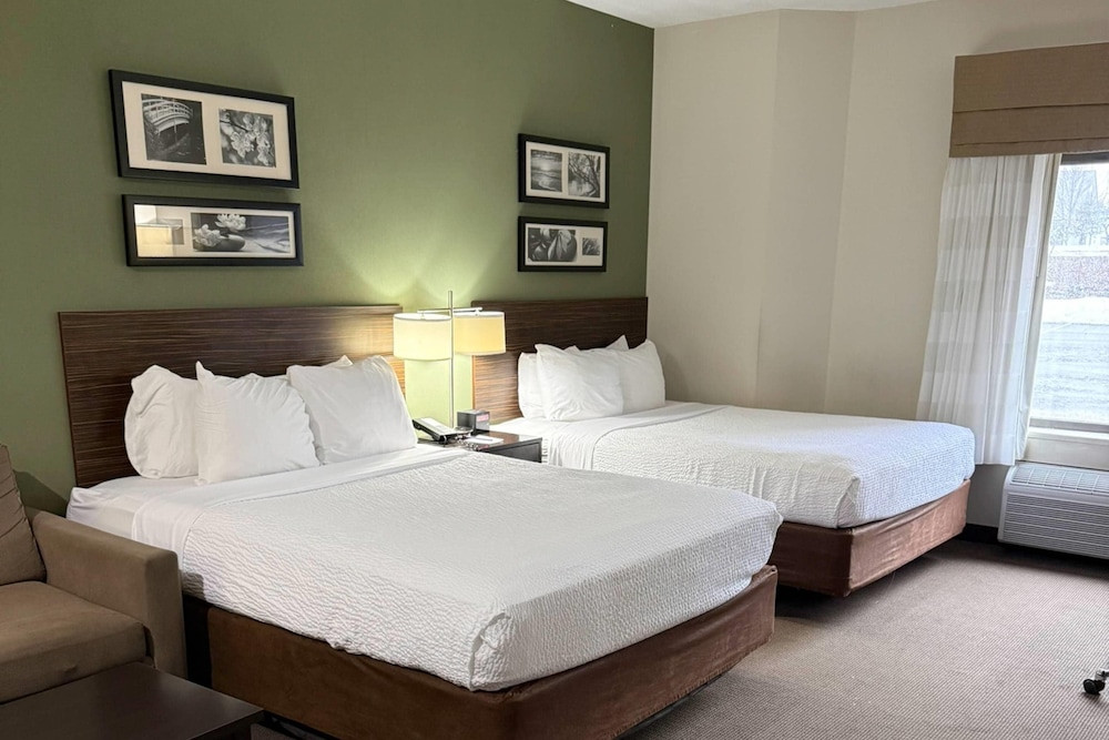 Studio, Suite, 2 Queen Beds, Sofa