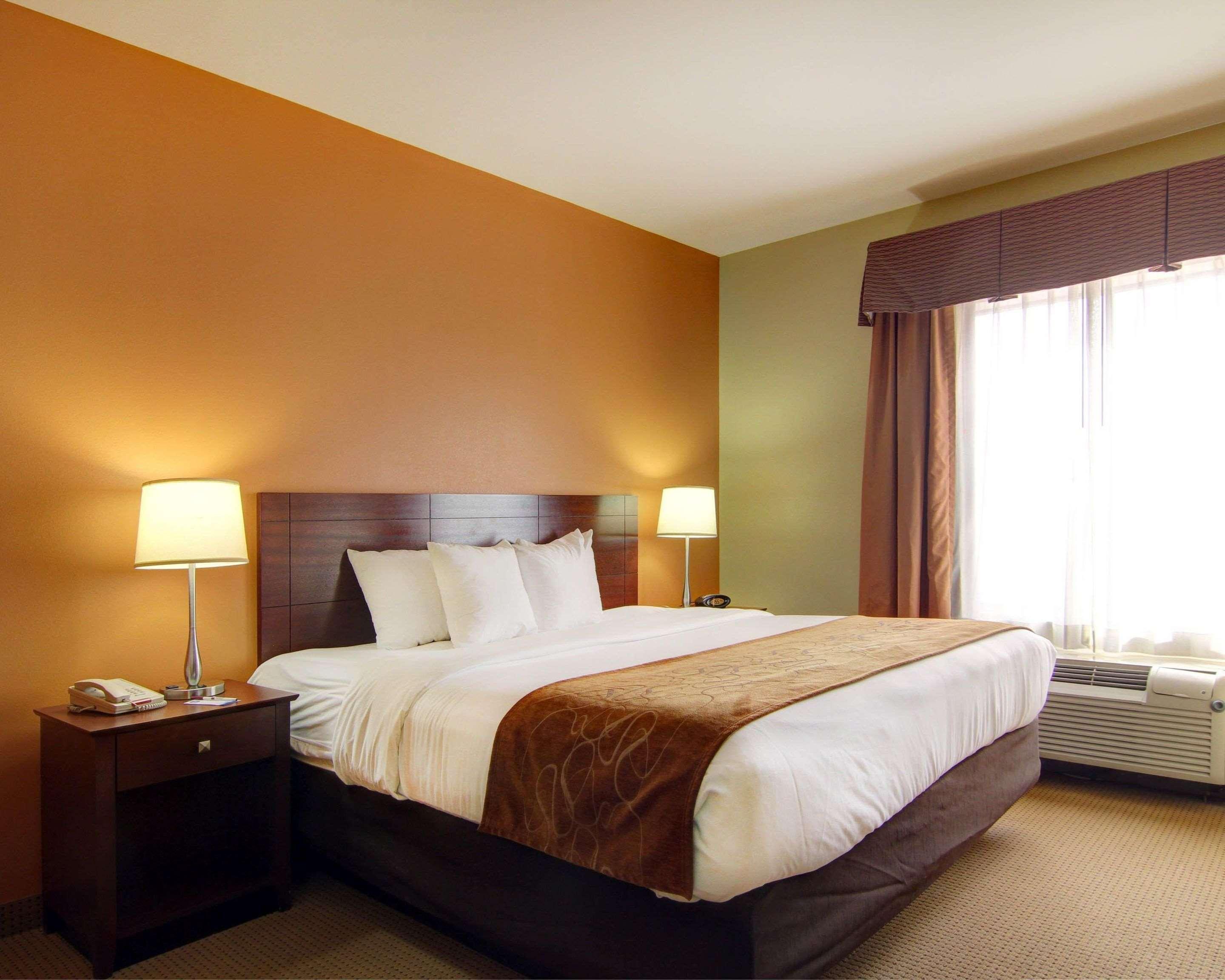 SUITE, KING BED