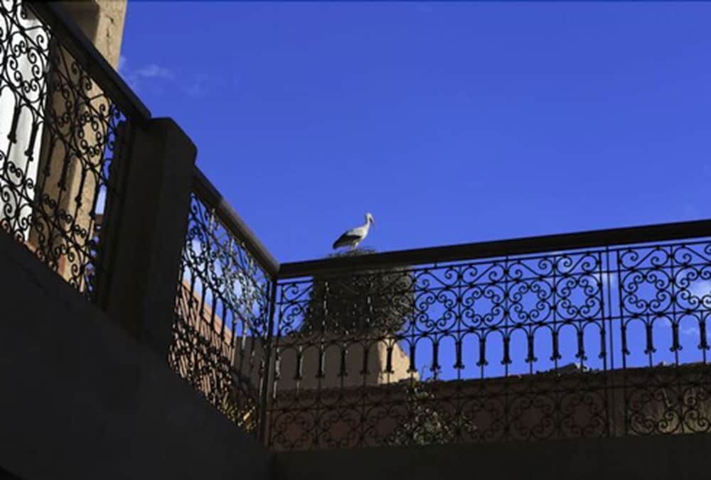 RIAD ALADDIN 5/76