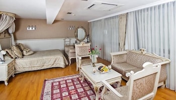 Peak Star Hotel Taksim 43/65