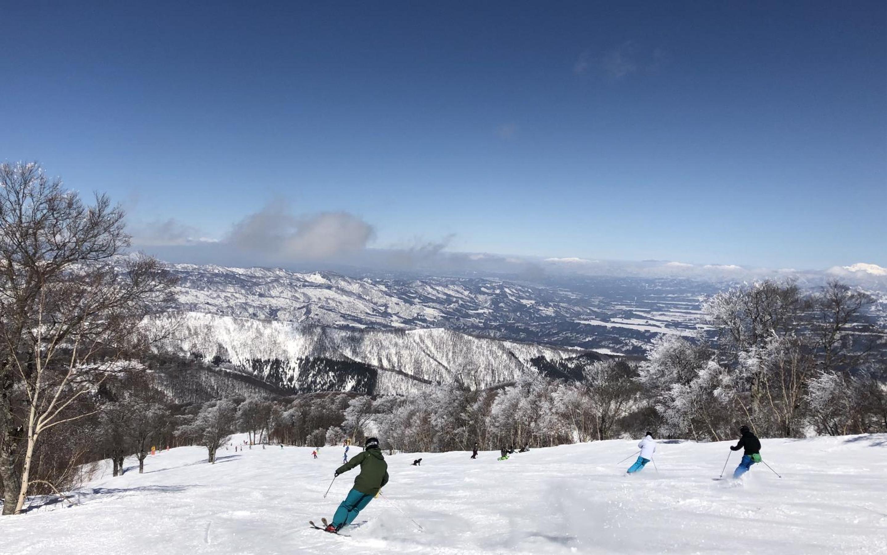 Address Nozawa 41/53