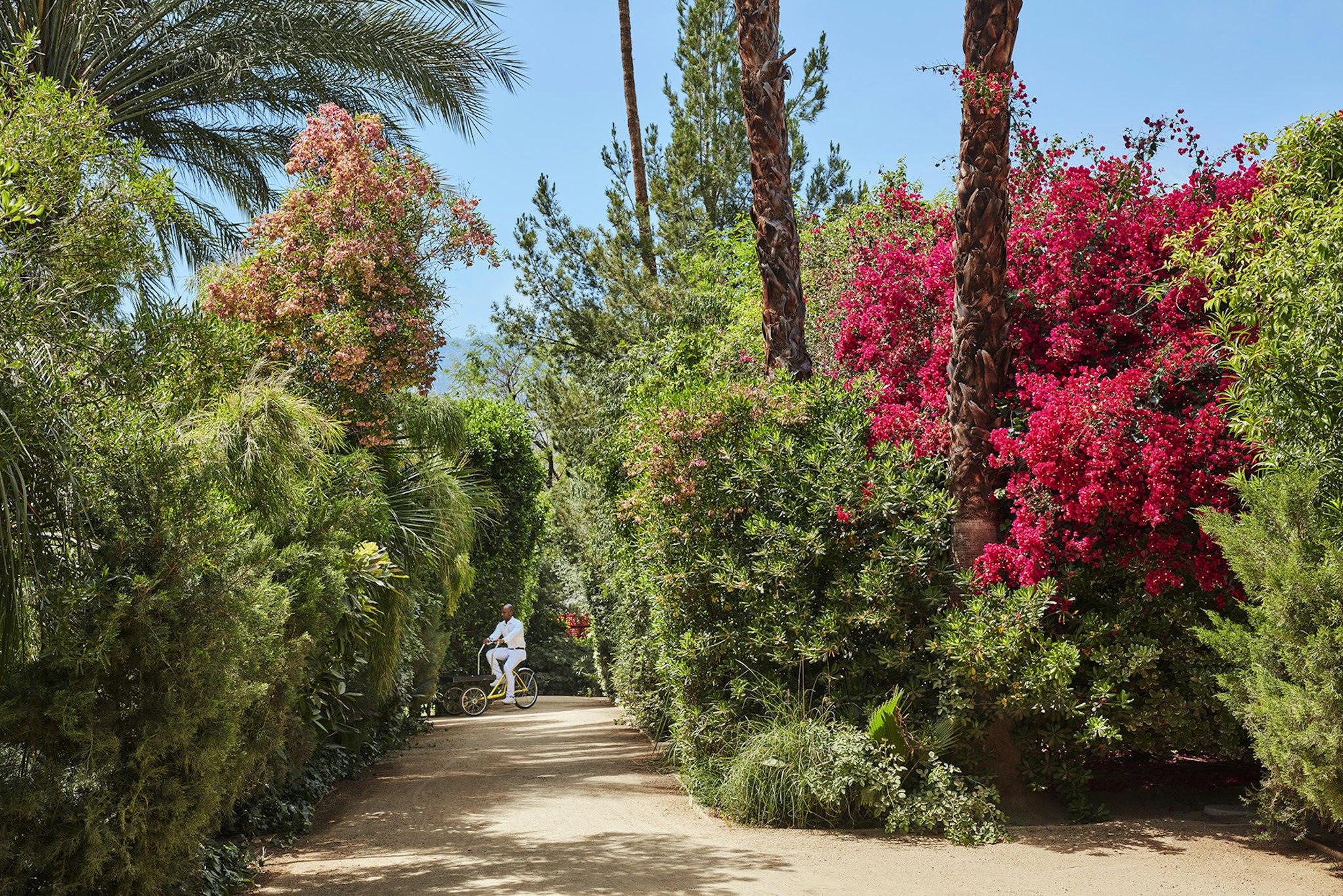 Parker Palm Springs 22/29