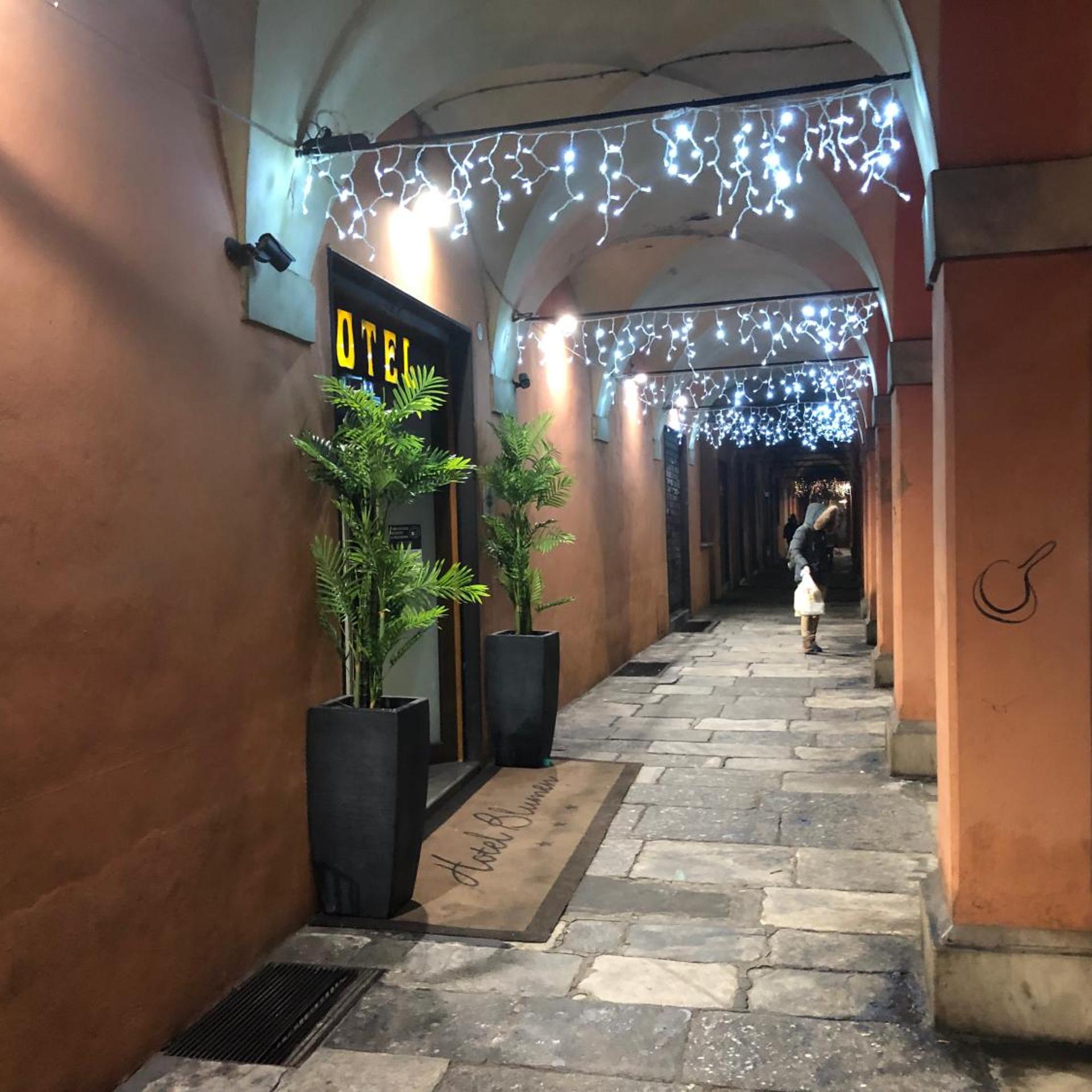 Hotel Blumen 7/52