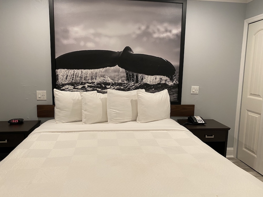 Super 8 By Wyndham Monterey/Carmel 12/48