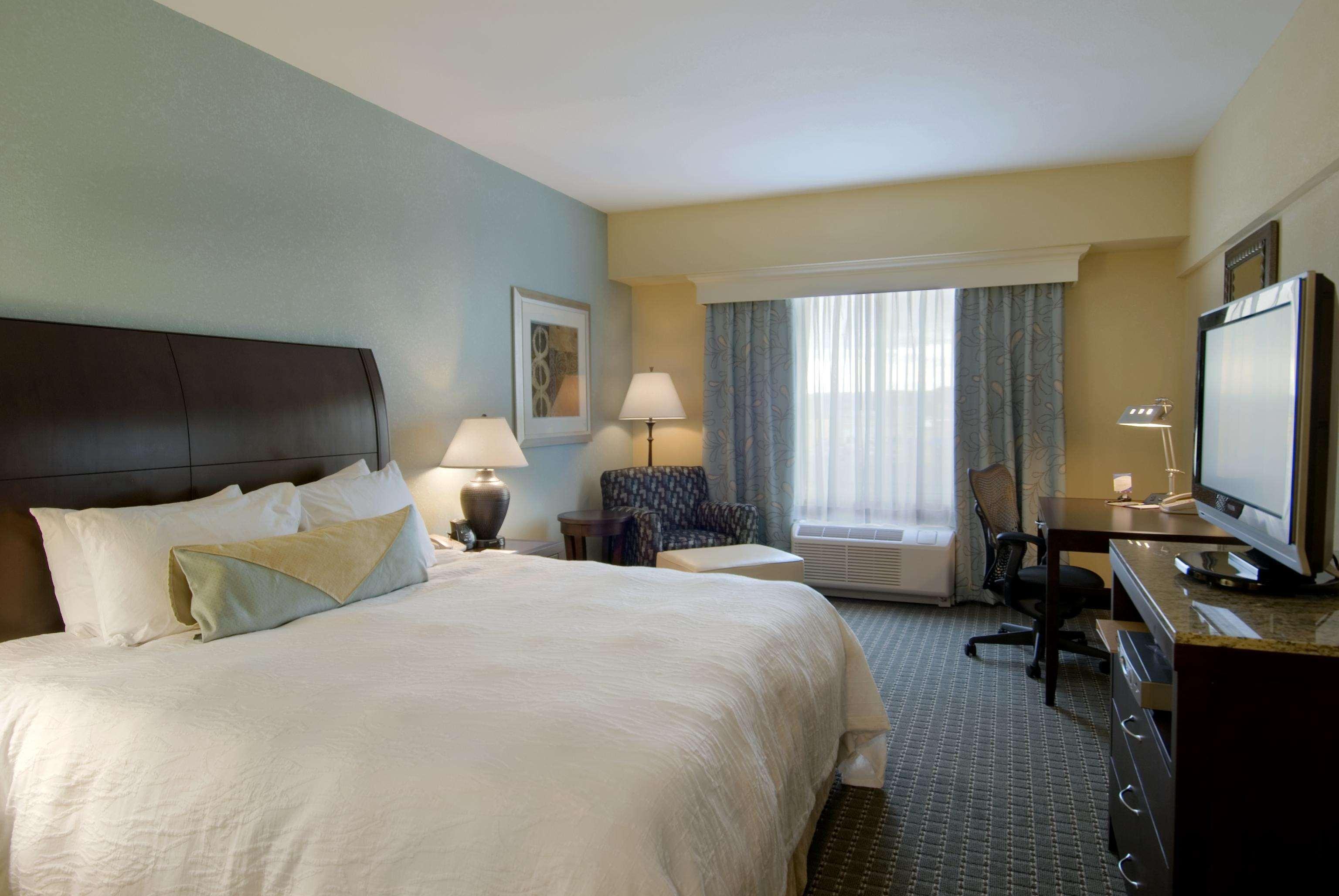 DELUXE, SUITE, KING BED, SOFA