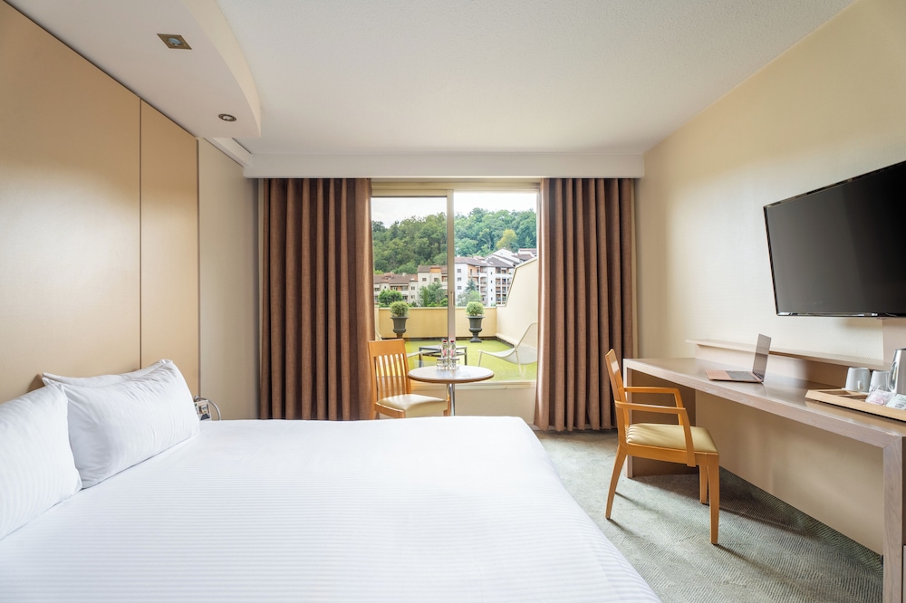 Hotel Lyon Metropole 17/63