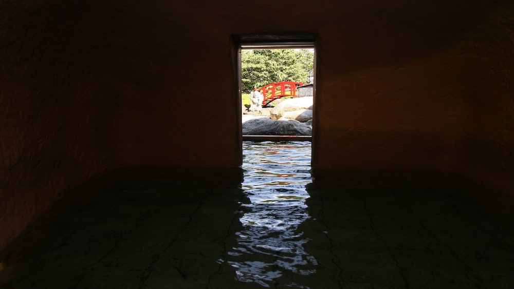 Hotel Kaminoyu Onsen 39/43