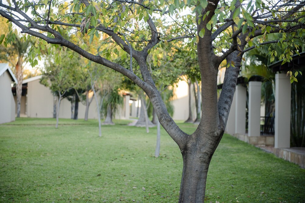 Palm Park Hotel 25/32