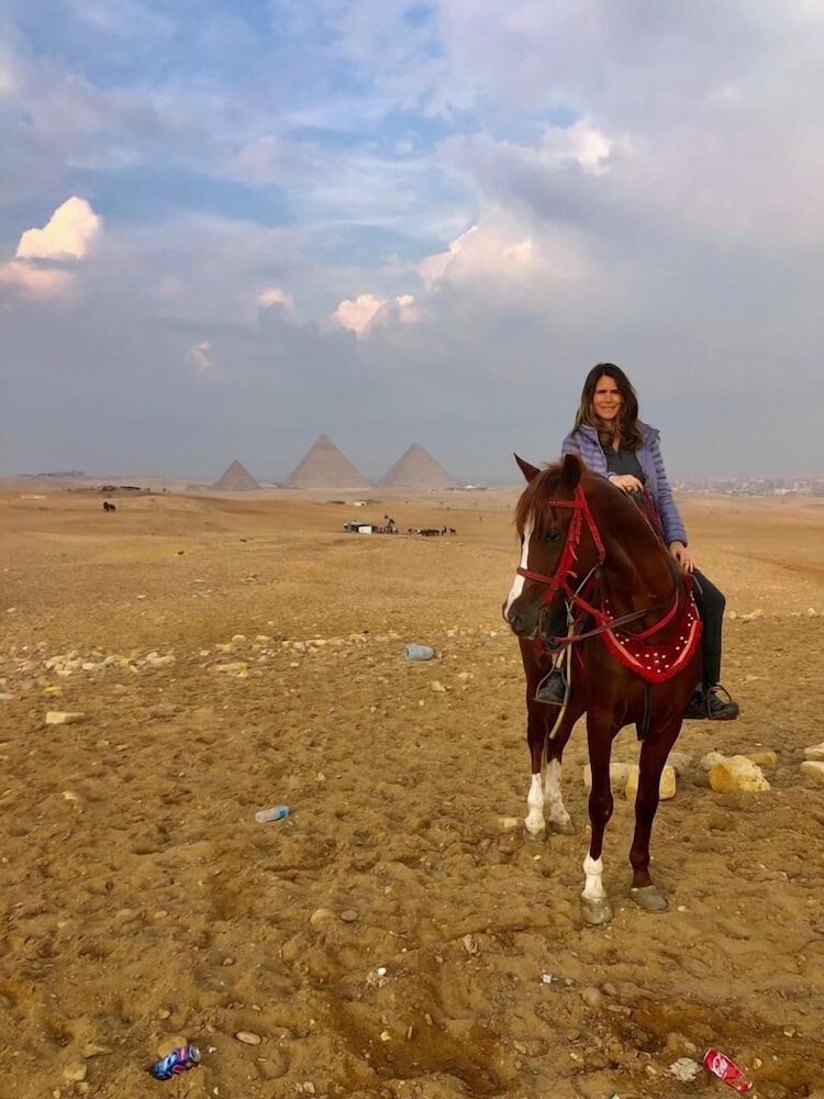 Royal Pyramids Inn 41/50