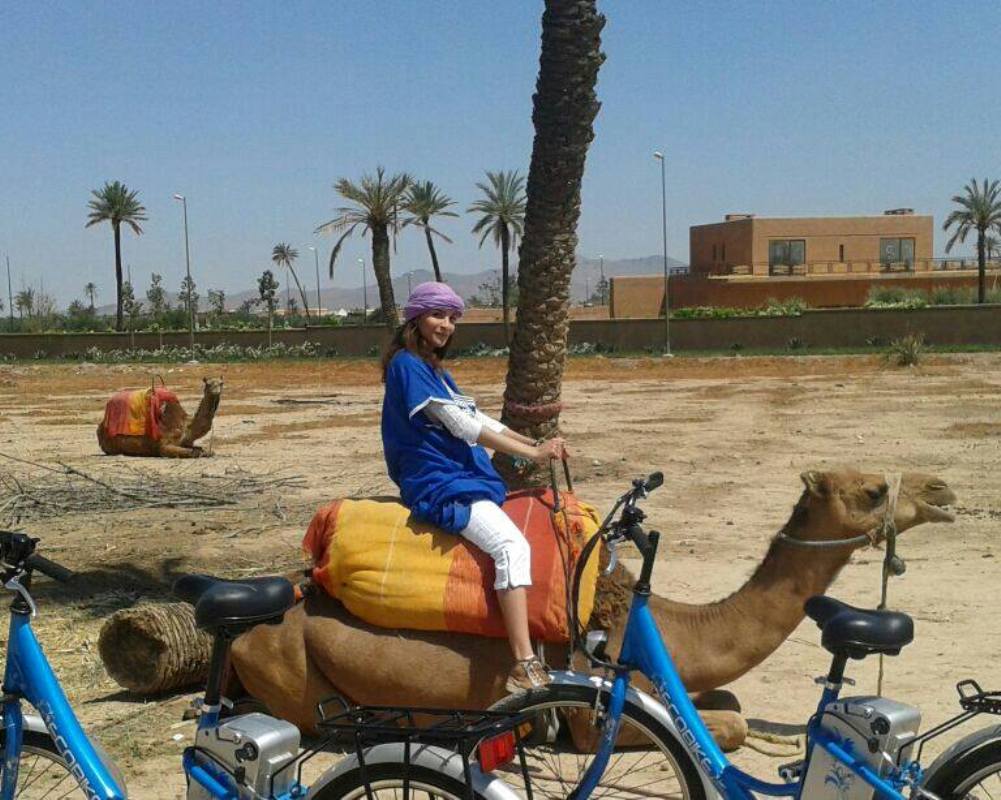 Riad 34 23/50
