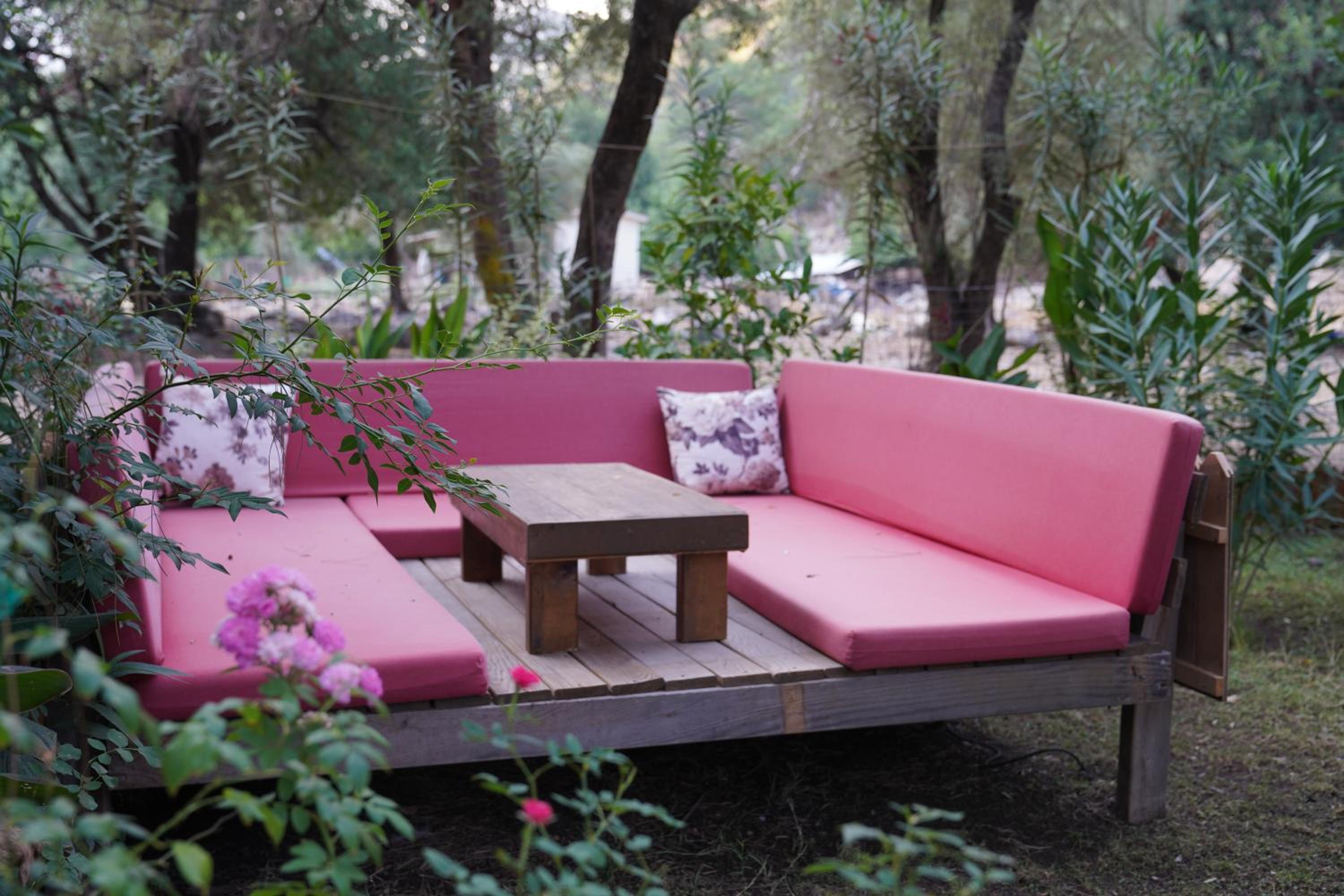 Canario Pension Bungalow 3/50