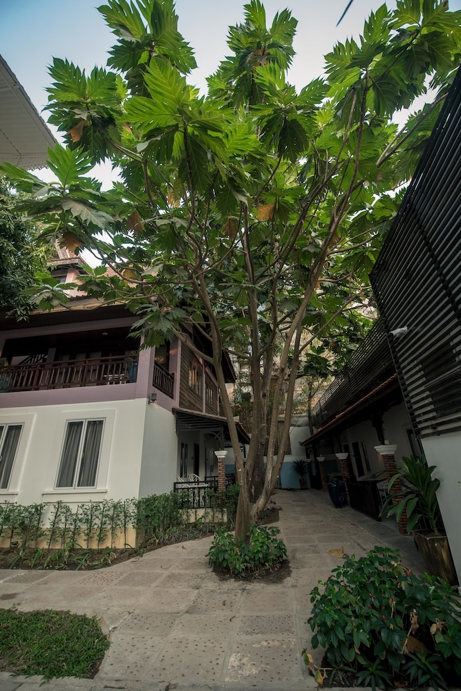 Lavender Angkor Boutique 40/50
