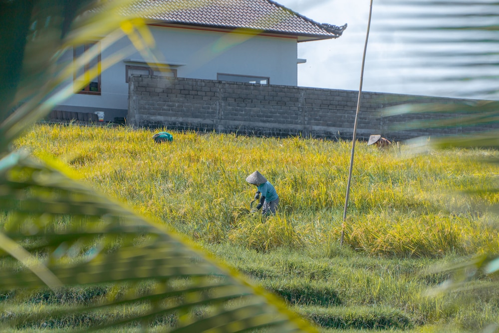 Umadhatu Village & Outbound Resort 47/50