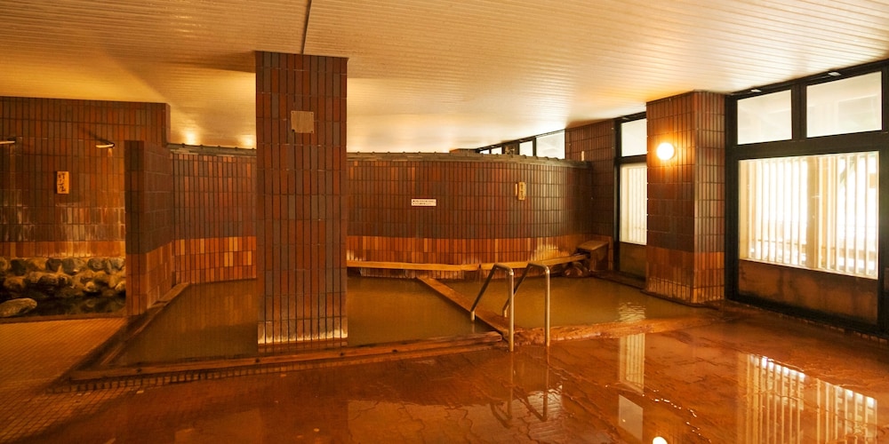 Shin Appi Onsen Seiryukaku 24/59