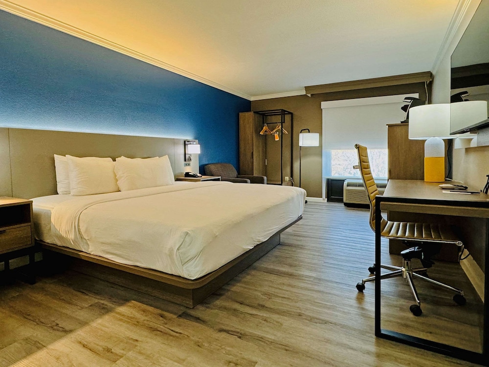 ROOM, KING BED, ACCESSIBLE