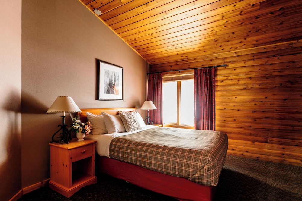 Miette Mountain Cabins 23/50