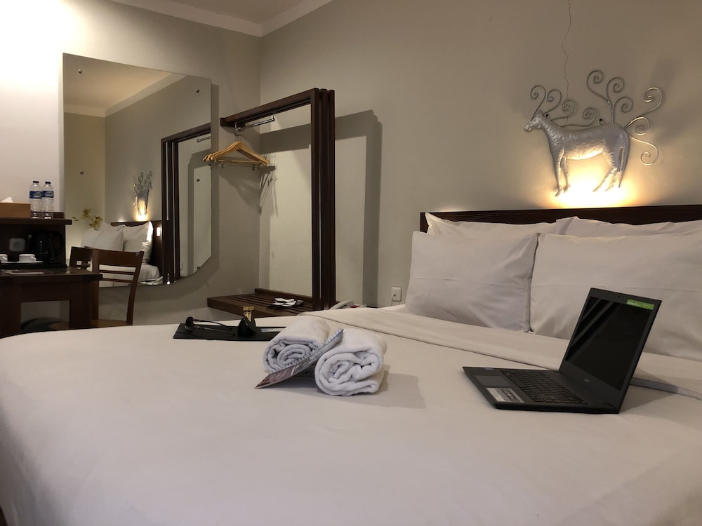 Burza Hotel 15/33