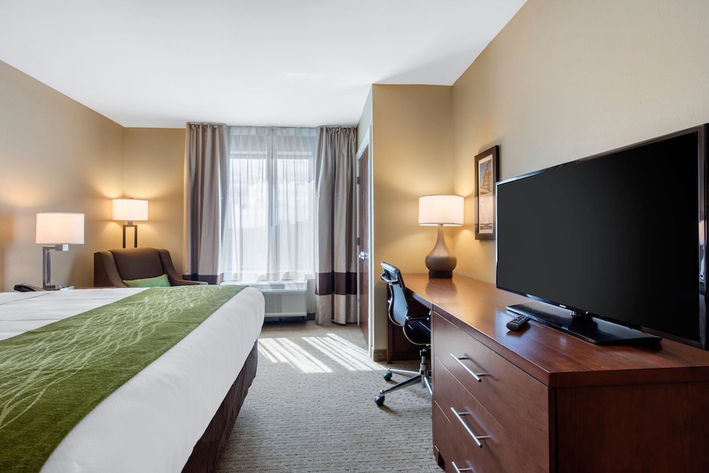 Comfort Inn & Suites At Crossplex Village 19/50