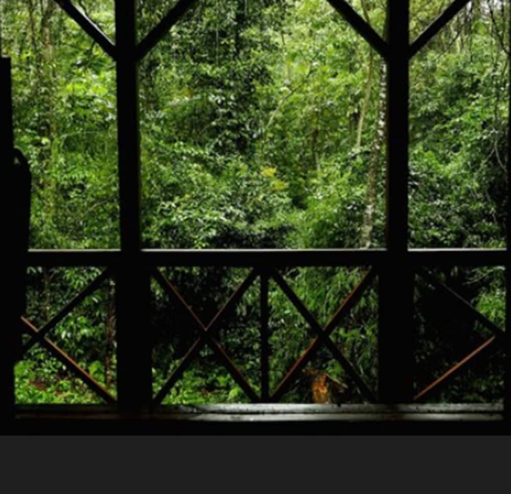 Selva de Laurel 29/71