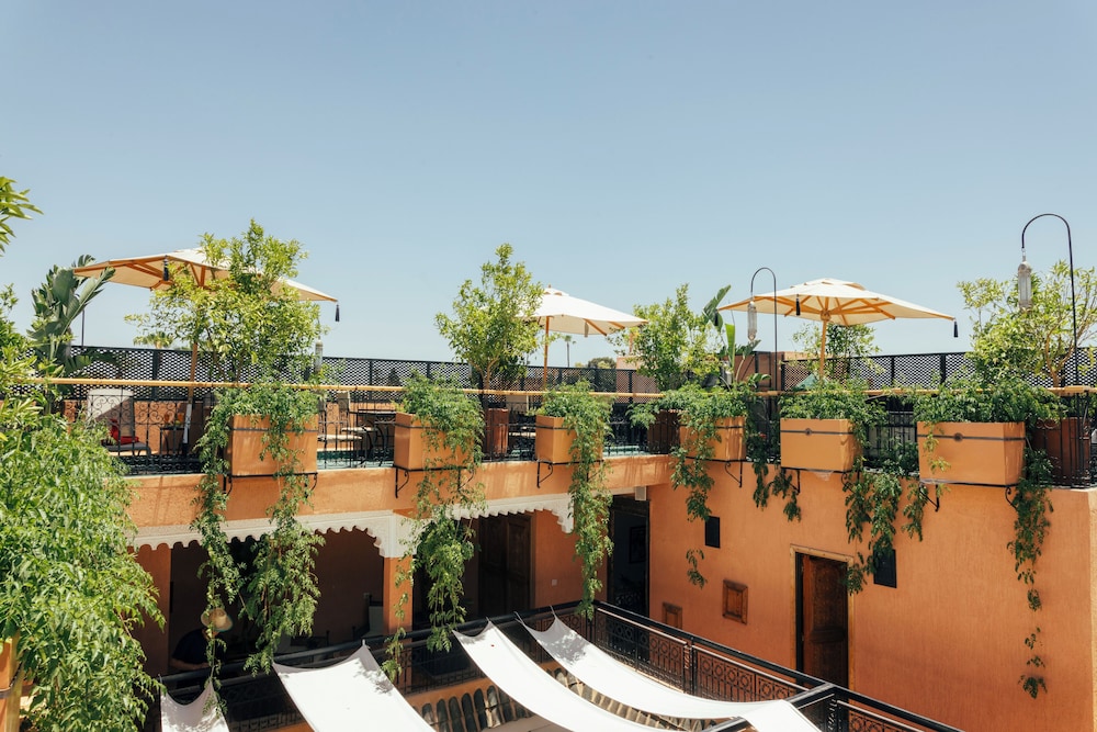 Riad Anya 1/50