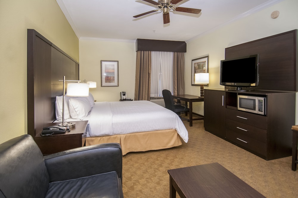 Holiday Inn Express Hotel Suites Houston North Intercontinental 10/48