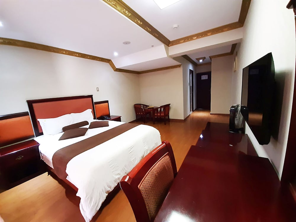 Hotel Swan 15/31