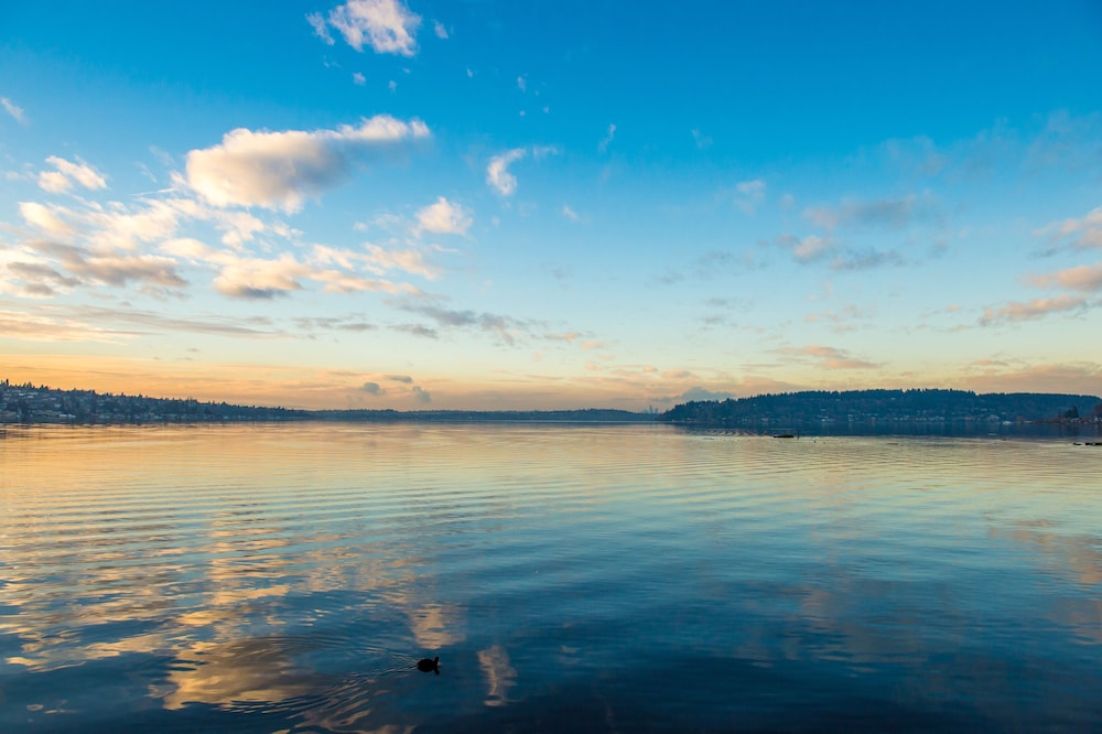 Hyatt Regency Lake Washington 46/50