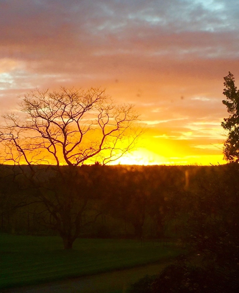 Glewstone Court Country House Hotel 41/50