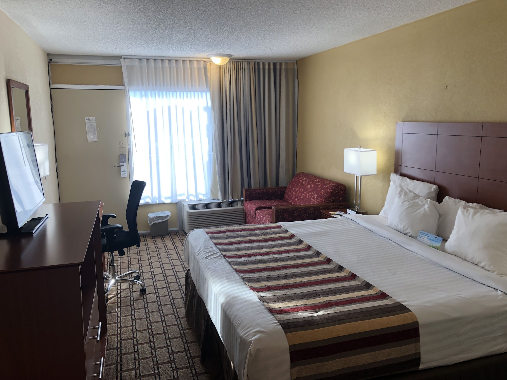 Room, King Bed