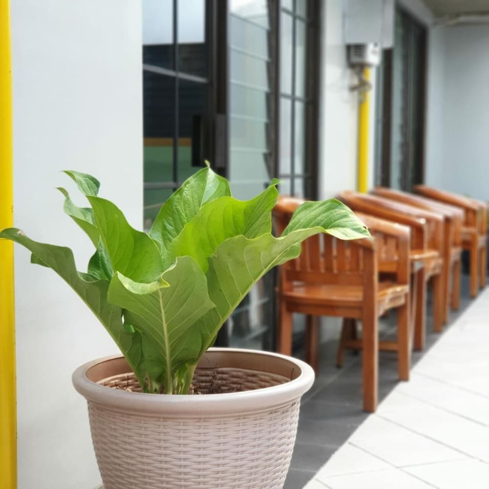 Hotel Griya Wijaya 12/20