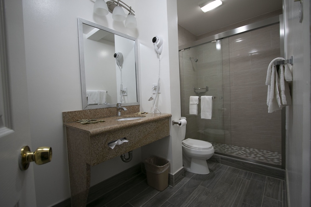 Alpha Inn And Suites (Ex.Knights Inn San Francisco/On Lombard Street) 20/37