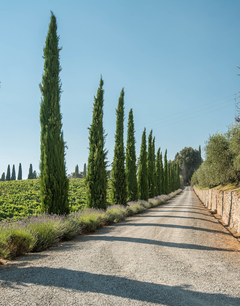 Dievole Wine Resort 68/76