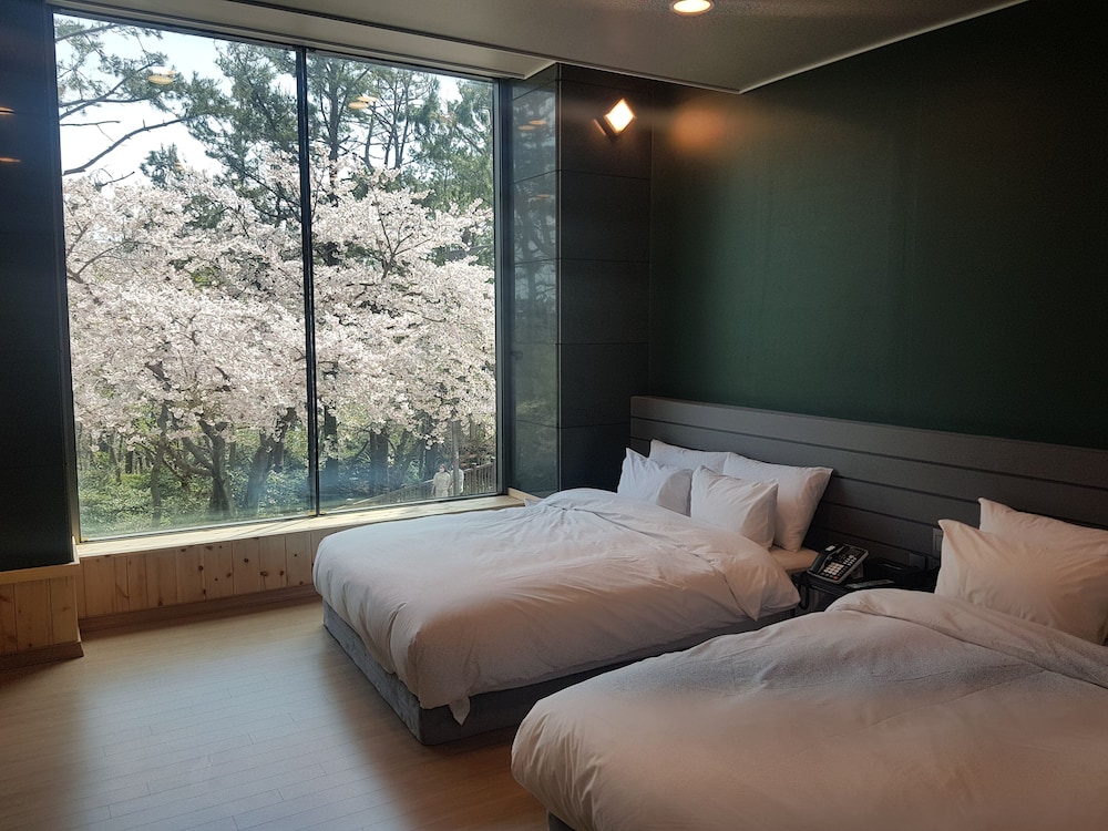Suntree Hotel 14/50