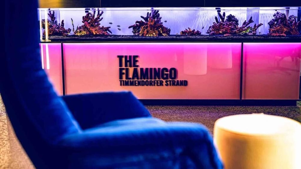 The Flamingo 20/28