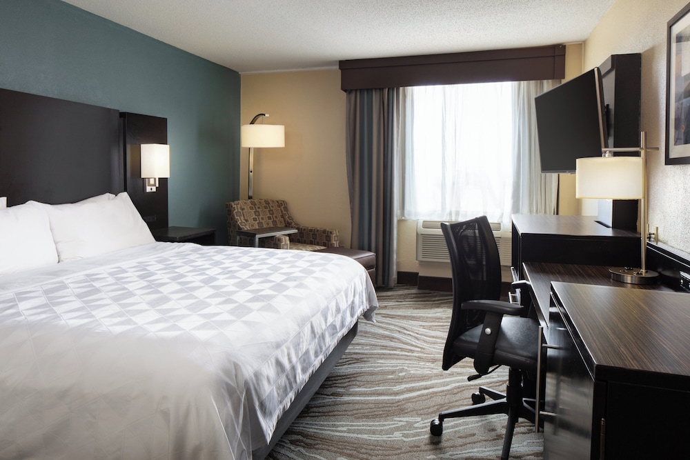 Premium, King Bed