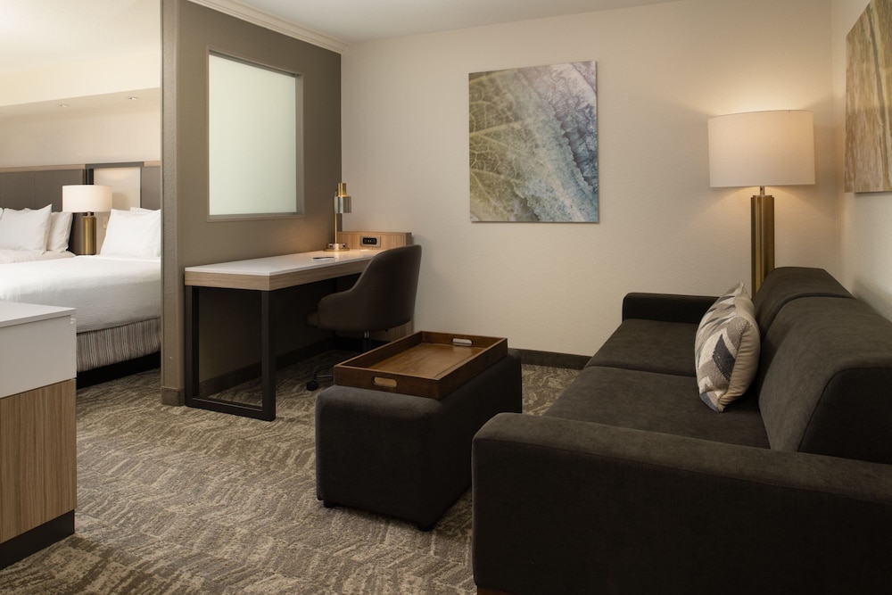 Springhill Suites By Marriott 27/46