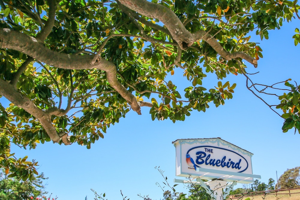 Bluebird Inn 49/53