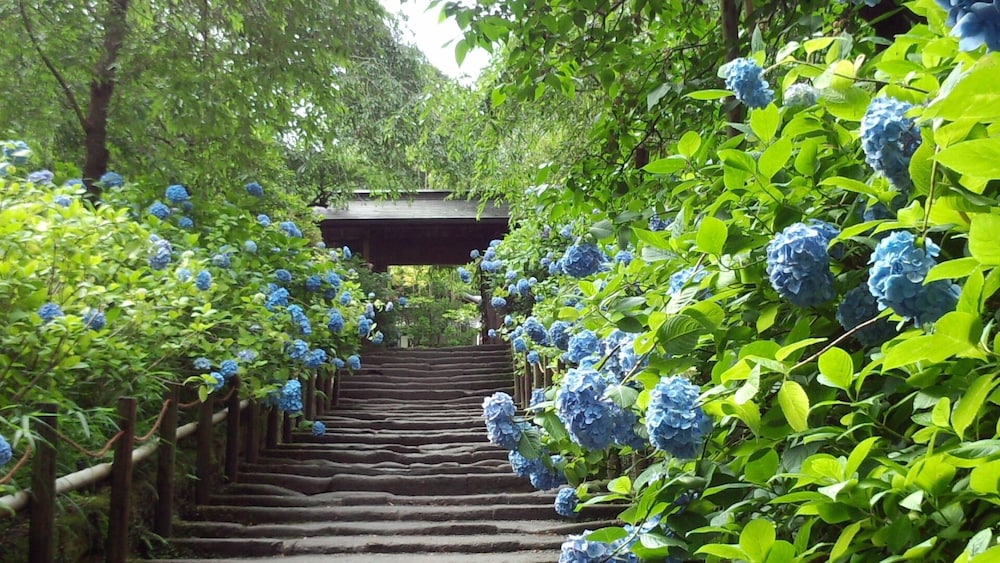 Webase Kamakura - Hostel 66/69