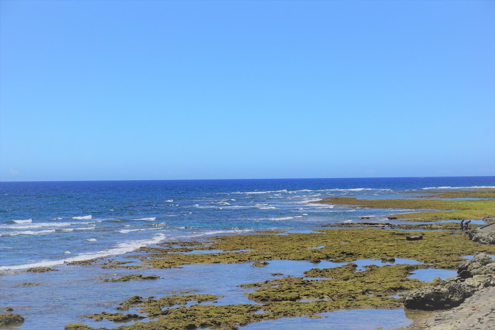 Okinawa Ocean Front 39/50