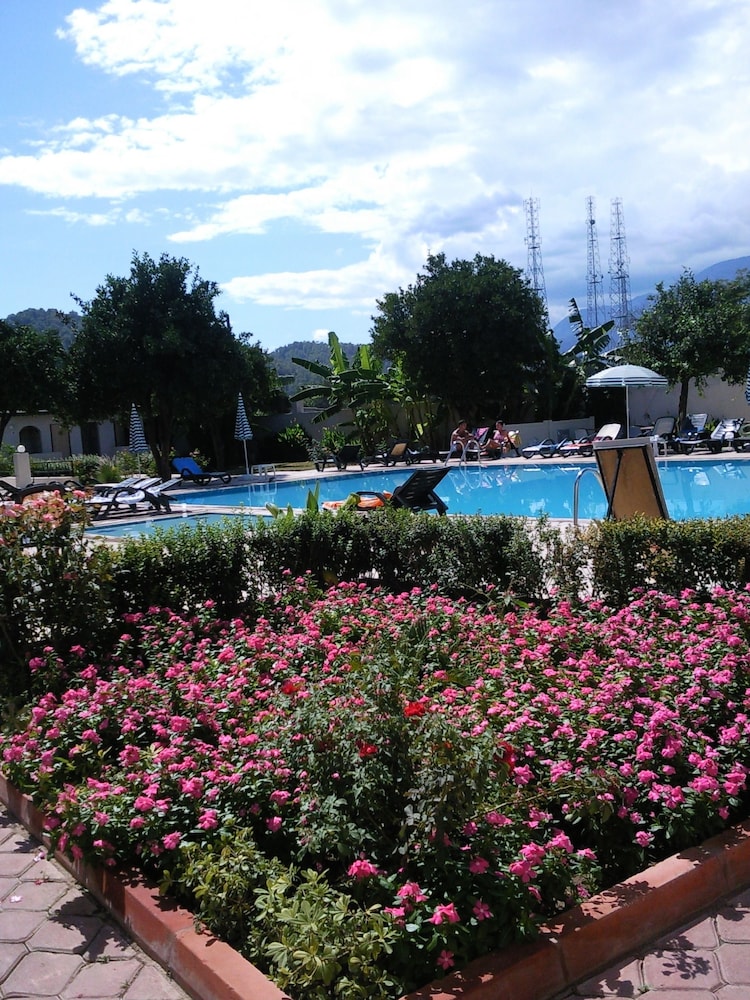 Ares Hotels 24/33